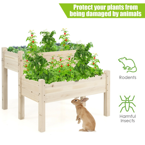 2 Tier Wooden Raised Garden Bed Elevated Planter Box W/Legs Drain Holes - Image 6