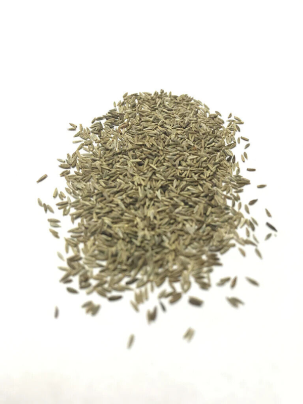 Flower Seeds - Non GMO -Variety Packs -Fresh -USA Grown Seeds - Image 38