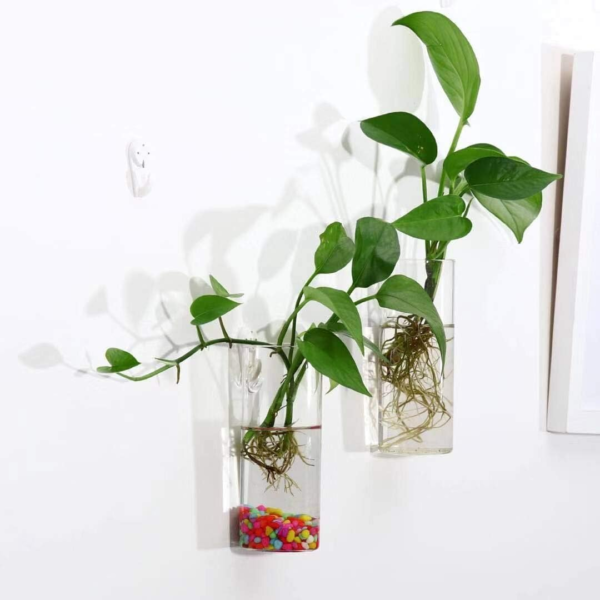Glass Planter Terrarium Plant Propagation Station Wall Hanging for Home Office Decor, Medium Cylinder, 2 Pack - Image 3