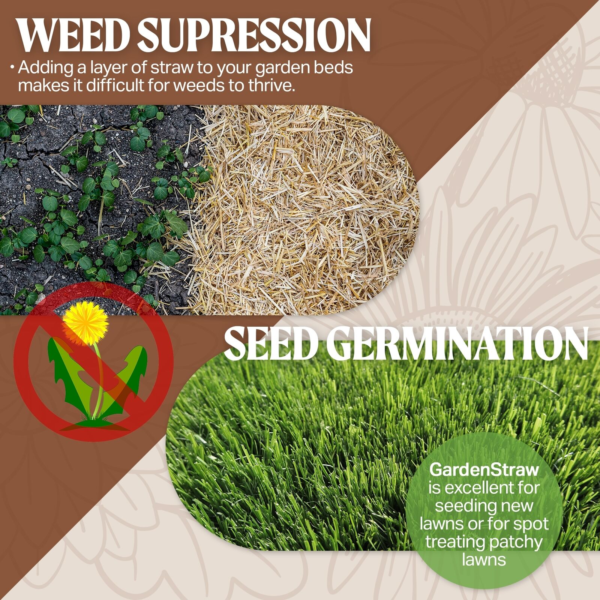 Healthistraw Gardenstraw Sustainable Straw Mulch, Compressed Bale, 3 Cu Ft - Image 5