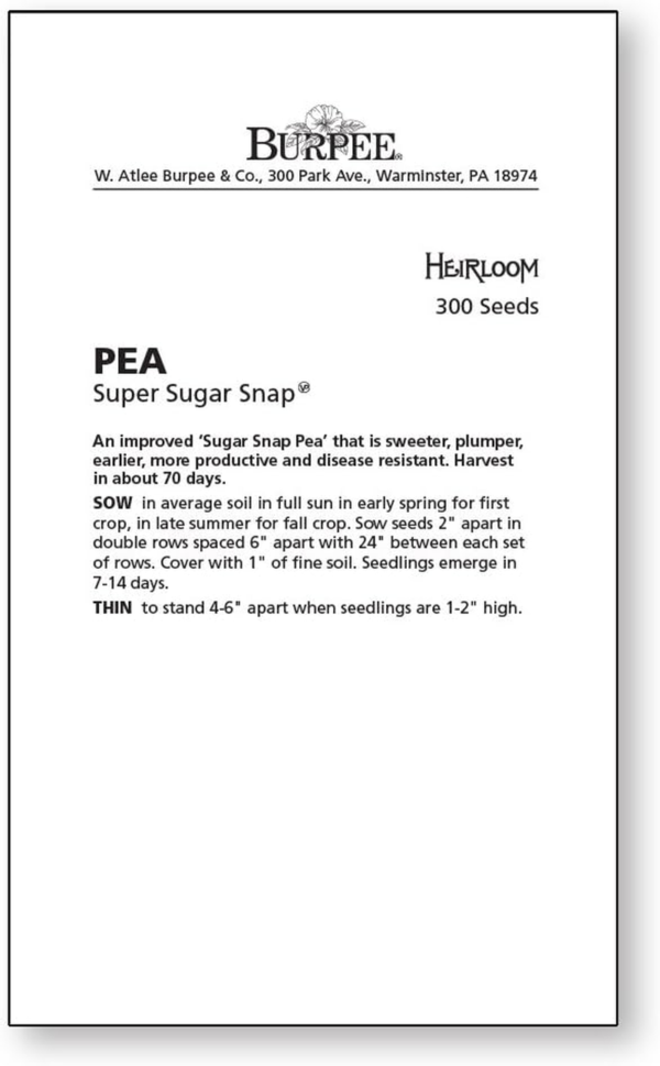 Super Sugar Snap Pea Seeds 300 Seeds - Image 3