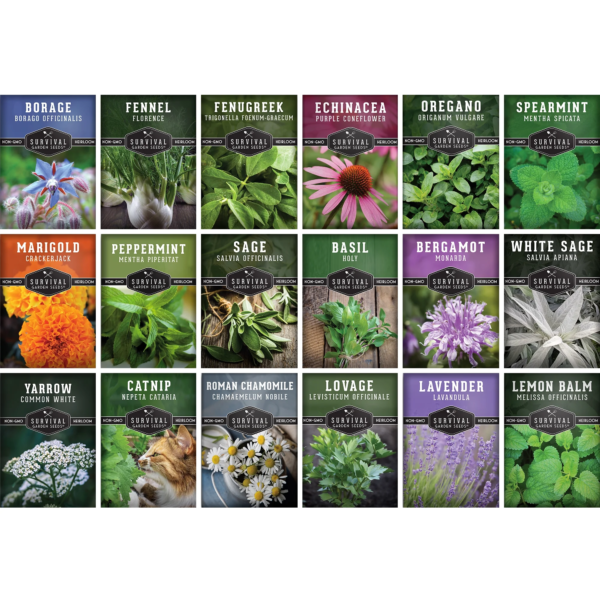 18 Pack Medicinal Herb Seed Collection - Non-Gmo Heirloom Full Sun Perennial & Annual - Image 2