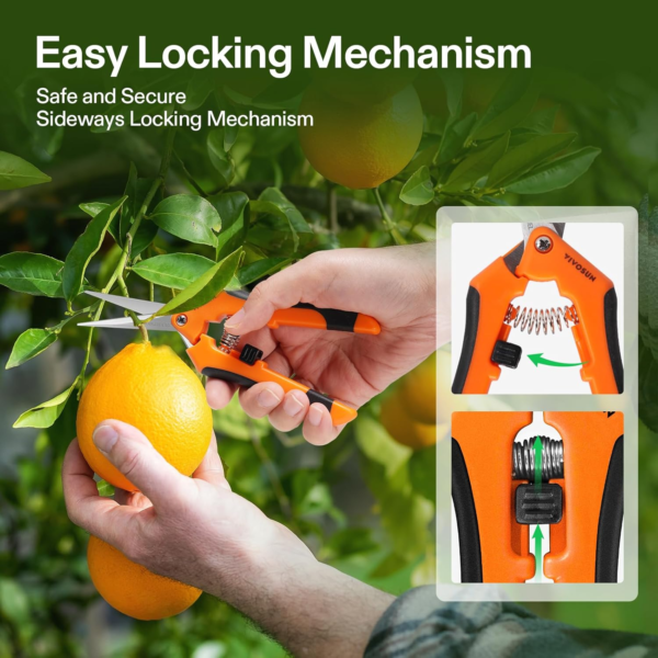 6.5 Inch Gardening Scissors Hand Pruner Pruning Shear with Straight Stainless Steel Blades Orange 1-Pack - Image 3