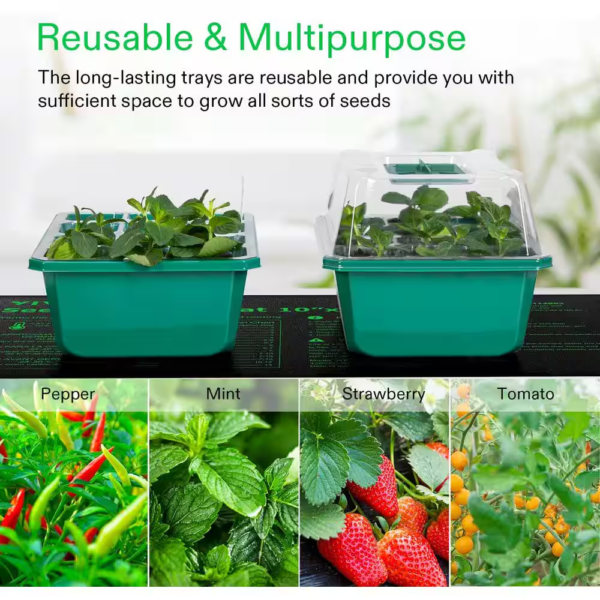 Indoor/Outdoor Reusable 144-Cell Seed Starter Trays with Humidity Dome, Drain Hole (12-Pack) - Image 3