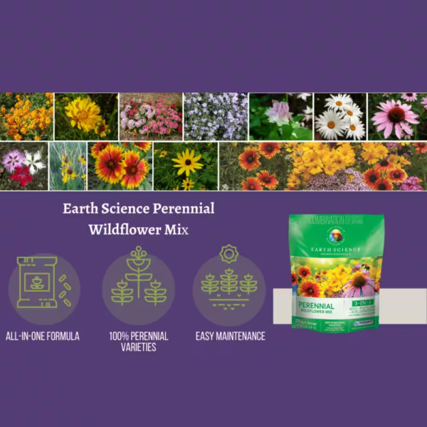 2 Lbs. Perennial All-In-One Wild Flower Mix with Seed, Plant Food and Soil Conditioners - Image 6