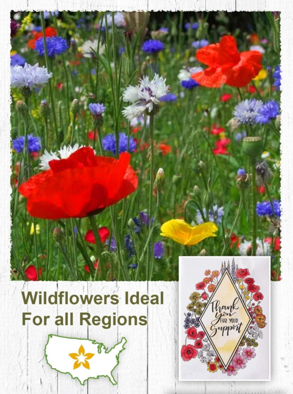 Wildflower Seed Packets Thank You for Your Support Party Favors (Pack of 20) - Express Gratitude with a Wildflower Seed Mix, Great Addition or Alternative to Thank You Cards - Image 5