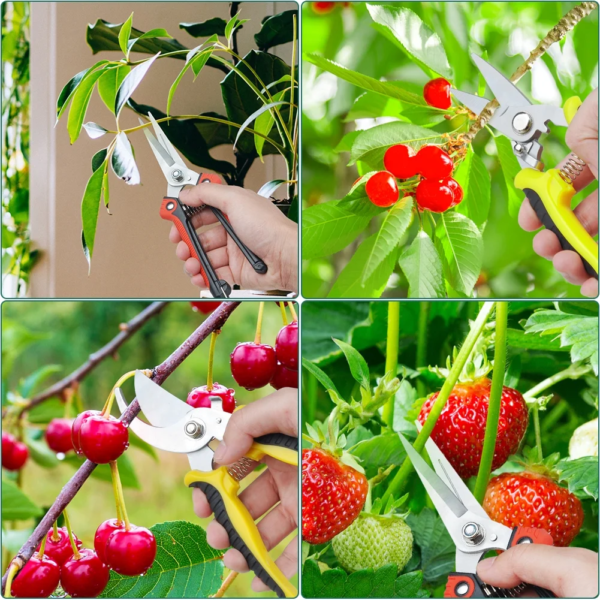 Stainless Steel Pruning Shears Set - 3 Pack Sharp Hand Garden Clippers with Protective Garden Gloves - Image 7