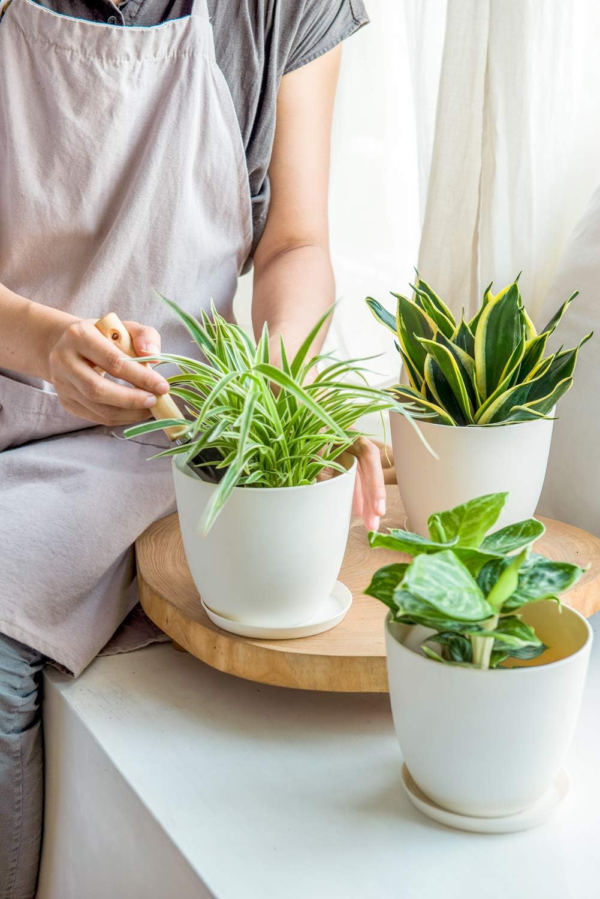 6.5" Plastic Planters with Saucers, Indoor Set of 5 Flower Plant Pots with Drainage for All House Plants, Herbs, Foliage Plant, and Seeding Nursery, Cream White - Image 7