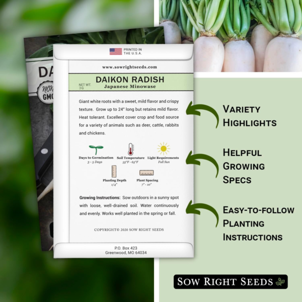 - Japanese Minowase Daikon Radish Seeds for Planting - Non-Gmo Heirloom Packet with Instructions to Plant a Home Vegetable Garden - Spring or Fall Planting Outdoors - Long White (1) - Image 2