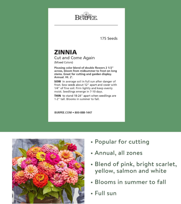 Cut & Come Again Zinnia Seeds 175 Seeds - Image 2