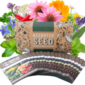 Medicinal & Herbal Tea Garden Seed Collection - Premium Assortment - 18 Non-Gmo Herb Seed Packets: Angelica, Borage, Hot Pepper, Anise, Lavender, Peppermint, & More