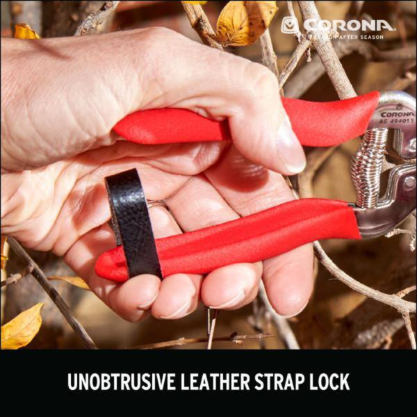 1.75 In. Stainless Steel Long Curved Snips - Image 8
