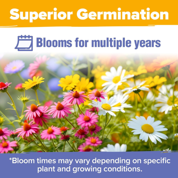 63,200+ Wildflower Seeds Bulk: (4Oz) Perennial Wild Flower Seeds for Planting - Butterfly Garden Seeds for Attracting Birds & Bees - 19 Variety - Image 7