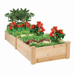 2-compartment tree planter