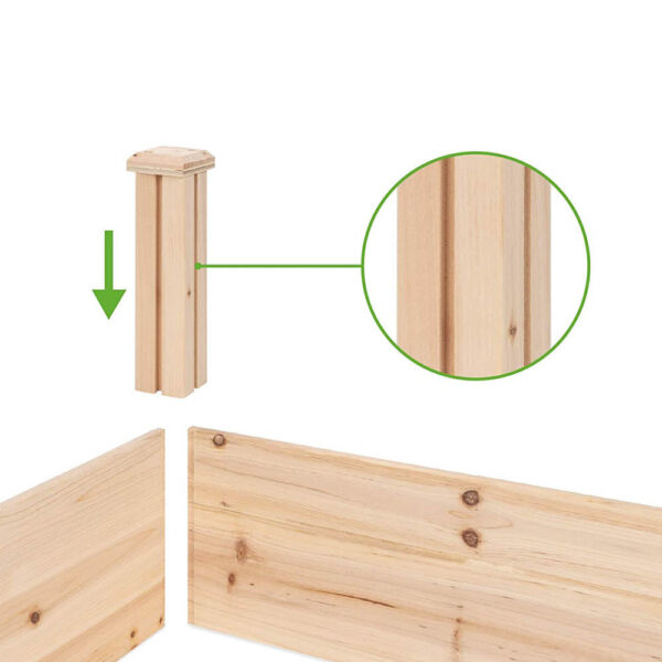 2-compartment tree planter - Image 4