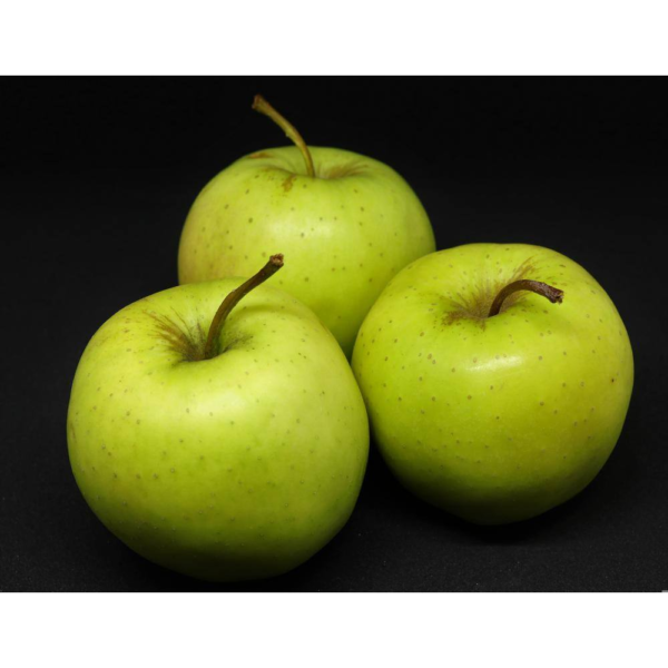 3 Ft. Golden Delicious Apple Tree with Honeyed Sweet Light Gold Fruit - Image 5