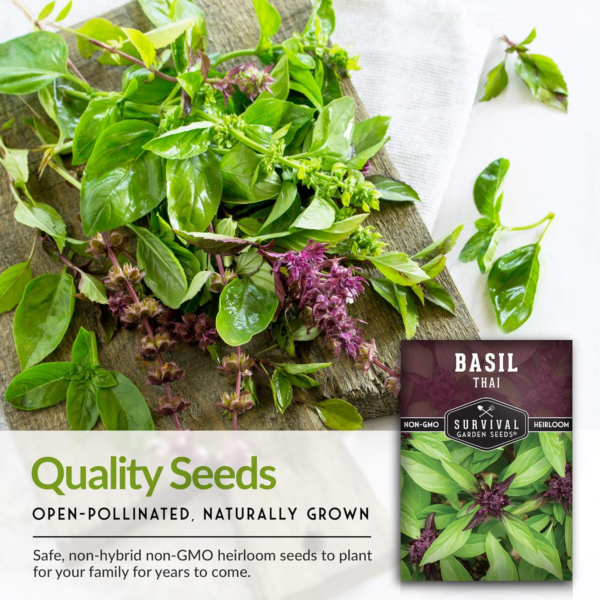 - Thai Basil Seed for Planting - Packet with Instructions to Plant and Grow Asian Basil Indoors or Outdoors in Your Home Vegetable Garden - Non-Gmo Heirloom Variety - 5 Pack - Image 7