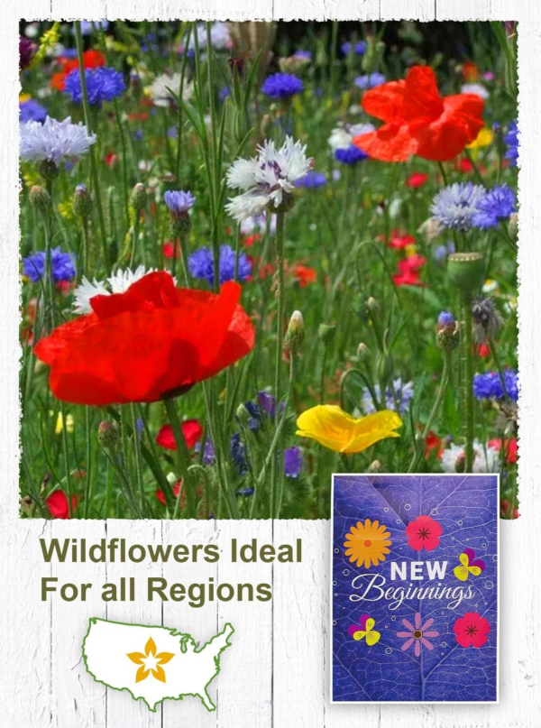 Wildflower Seed Packets New Beginnings'' Party Favors for Guests (Pack of 20) - Wildflower Seed Mix, Plant Year-Round, Great Gift for Hostesses, Showers, Weddings, Thank You - Image 4