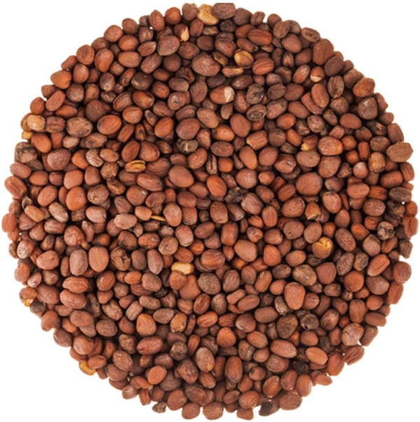 - Organic Radish Seeds for Sprouting, 3 Pounds Non-Gmo, Edible Seeds, Pure, Vegan, Kosher, Bulk. Spicy Flavor. Rich in Vitamin C. High Germitation Rate. - Image 3