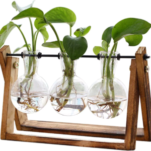 Plant Terrarium with Wooden Stand Planter Bulb Glass Vase Metal Swivel Holder Tabletop for Hydroponics Home Office Decoration