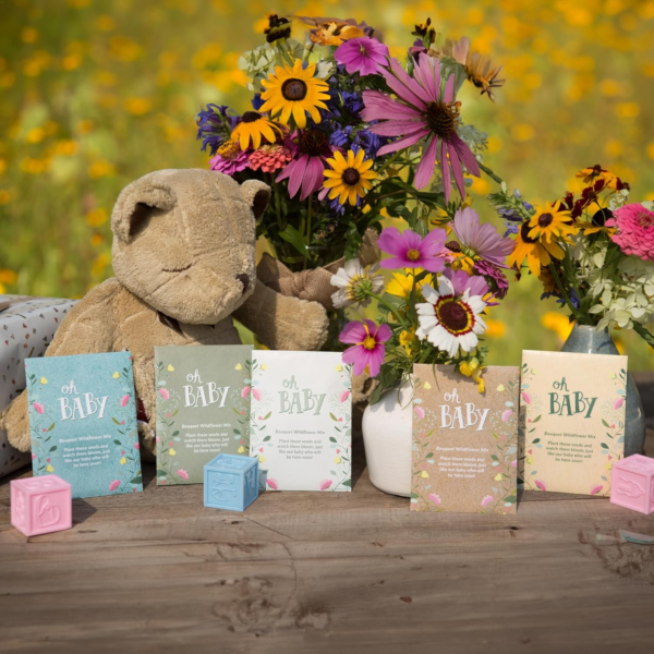 Oh Baby Flower Seeds Packets - Girl/Boy Baby Shower Favors - Pre-Filled, 25 Wildflower Seed Packs for Favor - Eco-Friendly Gift & Babys Guest Giveaways - Non-Gmo Seeds - Brown Envelop - Image 7