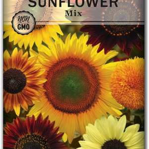 - Mixed Sunflower Seeds for Planting - Non-Gmo Heirloom Packet with Instructions - Great Wedding or Party Favor - Grow Giant Sunflowers in an Assortment of Bright, Unique Colors (1)