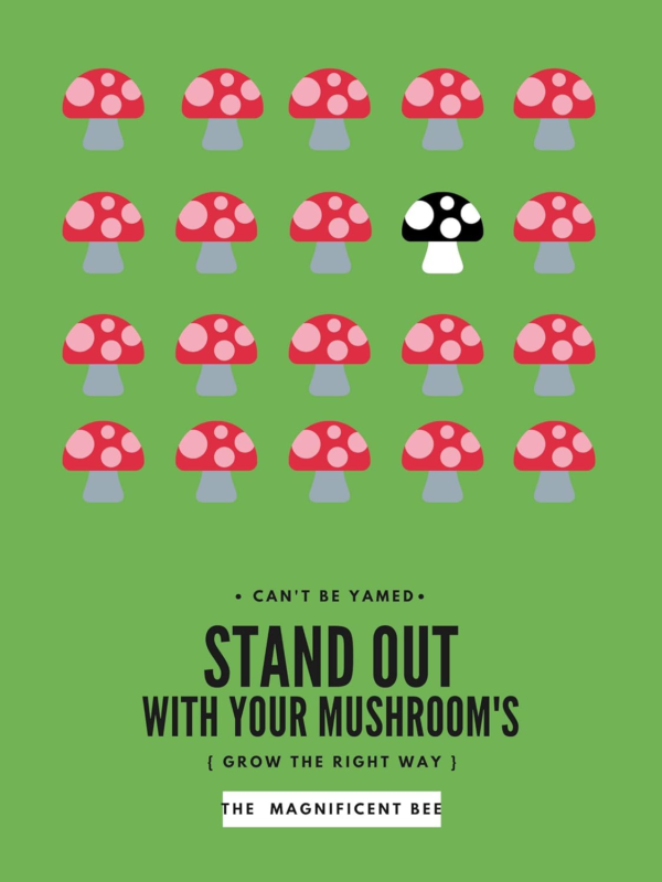 Reinforced Mushroom Grow Bags, 25 Count, Oyster Spawn and Grain Root Substrate Growing Kit with 0.2 Micron Filter”, Heavy Duty 3 Mil Polypropylene Plastic - Image 7