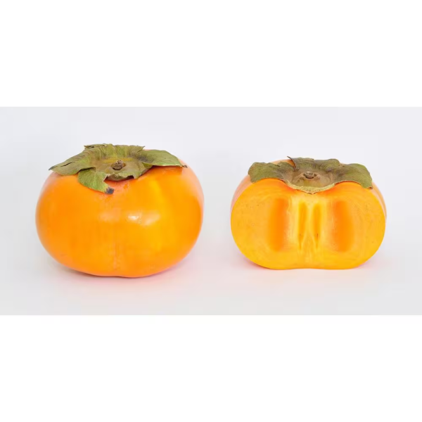 3 Ft. Fuyu Persimmon Tree with Tasting Notes of Cinnamon and Brown Sugar and No Astringency - Image 3