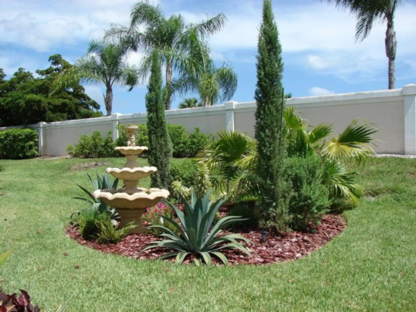 20 MEDITERRANEAN CYPRESS TREE Green Spire / Pencil Pine / Indian Cedar Cupressus Sempervirens Stricta Seeds - Image 5