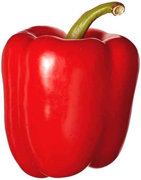 Pepper Sweet Big Red Great Heirloom Vegetable by  50 Seeds