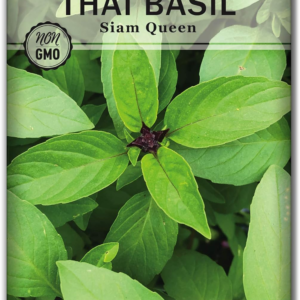 - Sweet Large Leaf Thai Basil Seed for Planting - Non-Gmo Heirloom Packet with Instructions to Plant a Kitchen Herb Garden - Indoors or Outdoor - Great for Hydroponic Growing (1)