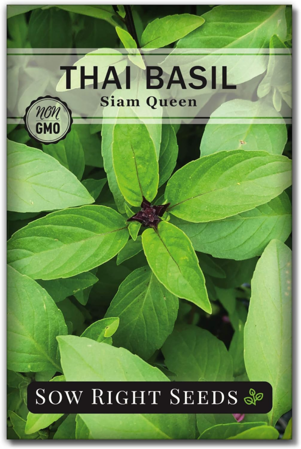 - Sweet Large Leaf Thai Basil Seed for Planting - Non-Gmo Heirloom Packet with Instructions to Plant a Kitchen Herb Garden - Indoors or Outdoor - Great for Hydroponic Growing (1)