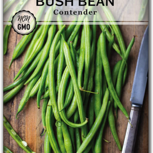 - Contender Bush Green Bean Seeds for Planting - Non-Gmo Heirloom Seed Packet - Stringless Variety to Plant an Outdoor Home Vegetable Garden - Abundant Harvest, Great for Kids (1)