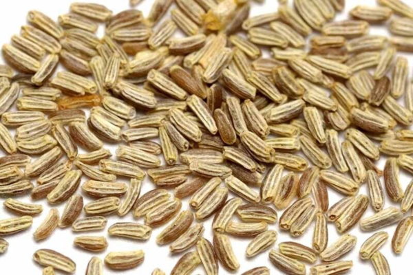 Flower Seeds - Non GMO -Variety Packs -Fresh -USA Grown Seeds - Image 12