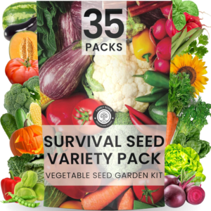 35 Vegetable Seeds | Survival Variety Pack | 2025 Season | Individually Packed Vegetables, Herbs and Fruits | Emergency Seed Vault for Doomsday Prepping | by