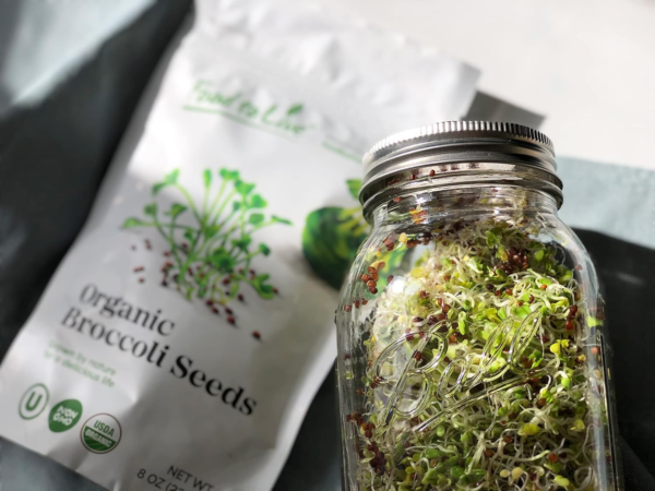 Organic Broccoli Seeds for Sprouting, 2 Ounces – Non-Gmo, Vegan, Kosher, Sirtfood, Bulk. Rich in Sulforaphane, Vitamin C. Grow Sprouts, Microgreens for Salads, and Sandwiches - Image 6