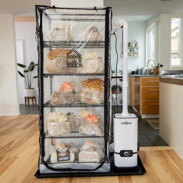 'Boomroom II' Automated Martha Tent Mushroom Grow Kit - Image 3
