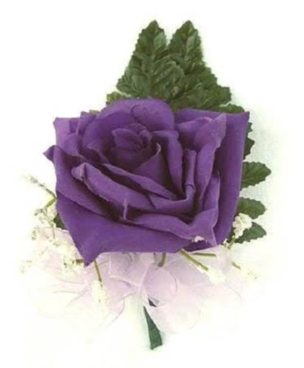 5 Rose/ Rosa Floribunda Flower Seed - Image 4