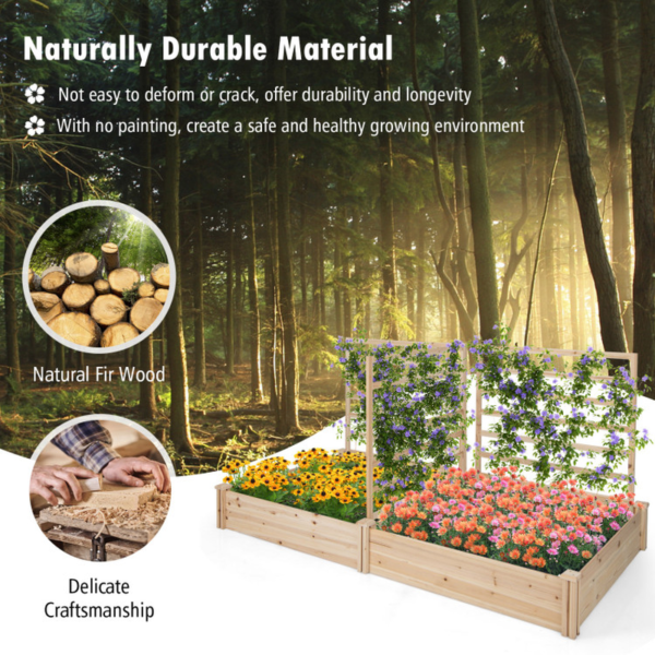 Raised Garden Bed with 2 Planter Boxes and 3 Trellis - Image 7