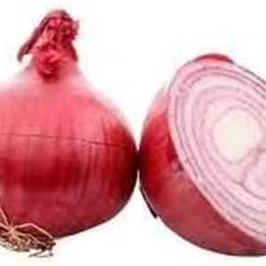 Onion Red Burgundy Great Heirloom Garden Vegetable Seeds by  (200 Seeds)