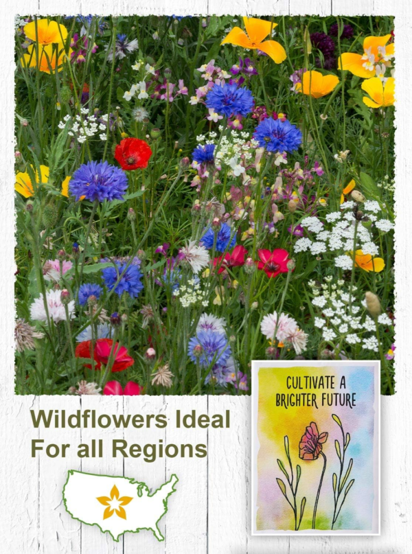 Wildflower Seed Packets Cultivate a Brighter Future Party Favors for Guests (Pack of 20) - Wildflower Seed Mix, Plant Year-Round, Gift for Hostesses, Showers, Weddings, Thank You - Image 5