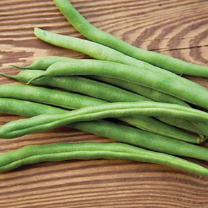 Bean Seeds Harvest and Grow Your Own Spring Garden Vegetables, Whopper Bush Bean, Pack of 100