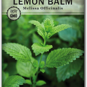 - Lemon Balm Seeds for Planting - Non-Gmo Heirloom Packet with Instructions - Easy to Grow Herb Garden - Aromatic Herb and Great for Herbal Teas - Perennial Mint Relative (1)