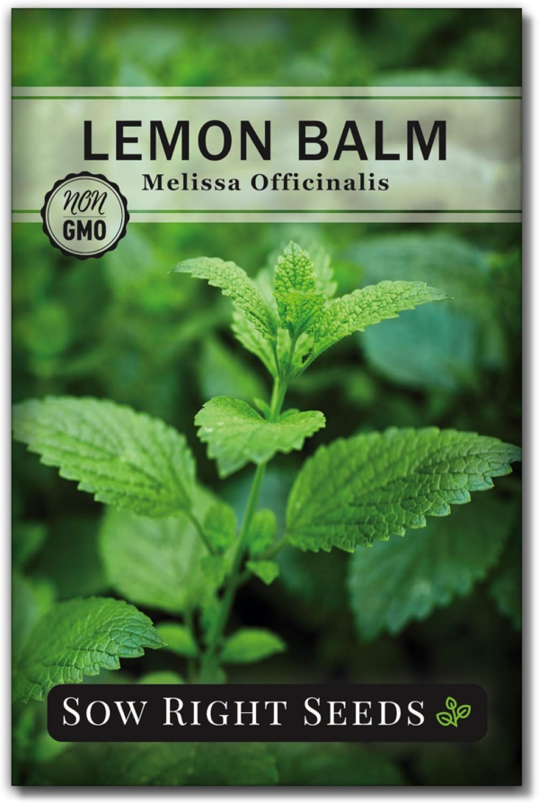 - Lemon Balm Seeds for Planting - Non-Gmo Heirloom Packet with Instructions - Easy to Grow Herb Garden - Aromatic Herb and Great for Herbal Teas - Perennial Mint Relative (1)