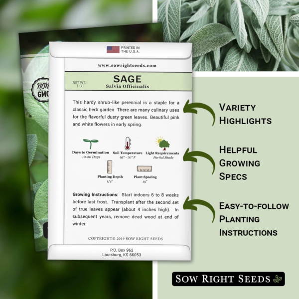 - Sage Seeds for Planting - Non-Gmo Heirloom Packet with Instructions to Plant and Grow Kitchen Herb Garden - Indoor or Outdoor - Great for Pollinators - Culinary Seasoning (1) - Image 2