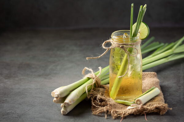 100 Seeds LEMONGRASS East Indian Lemon Grass Fragrant Edible Cymbopogon Seeds - Image 3