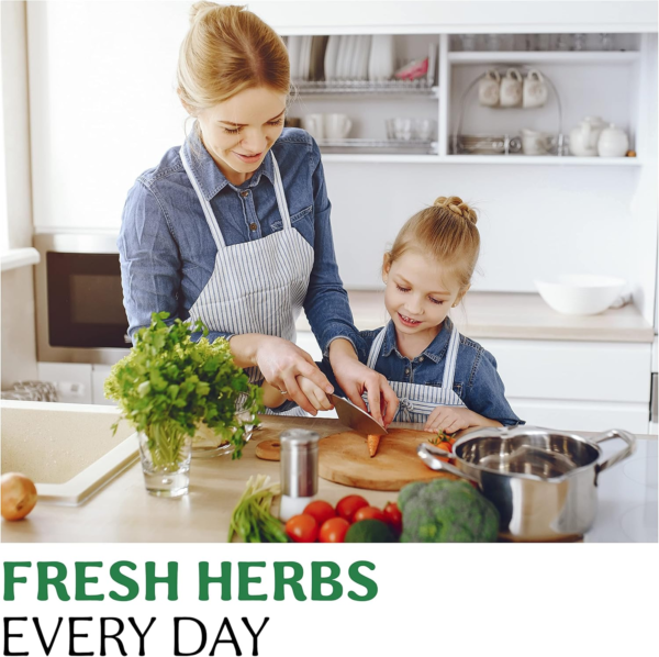 15 Herb Seeds Variety Pack - 4500+ Non-Gmo Heirloom Seeds for Planting Hydroponic Indoor or Outdoor Home Garden - Lavender, Parsley, Cilantro, Basil, Thyme, Mint, Rosemary, Dill & More - Image 9