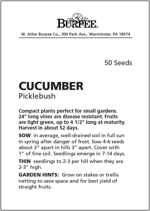 'Picklebush' Pickling Cucumber Seeds, 50 Non-Gmo Seeds, Container Friendly,  Exclusive - Image 6