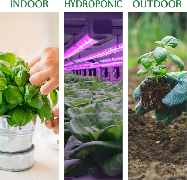 15 Herb Seeds Variety Pack - 4500+ Non-Gmo Heirloom Seeds for Planting Hydroponic Indoor or Outdoor Home Garden - Lavender, Parsley, Cilantro, Basil, Thyme, Mint, Rosemary, Dill & More - Image 5