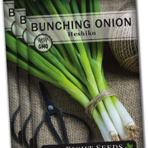 - Heshiko Japanese Bunching Green Onion Seeds for Planting - Non-Gmo Heirloom - Instructions to Plant and Grow a Kitchen Garden Indoors or Outdoors - Mild Onion Flavor for Cooking (3)